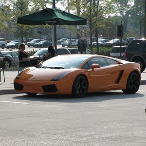 Meet your Posher, Dalton